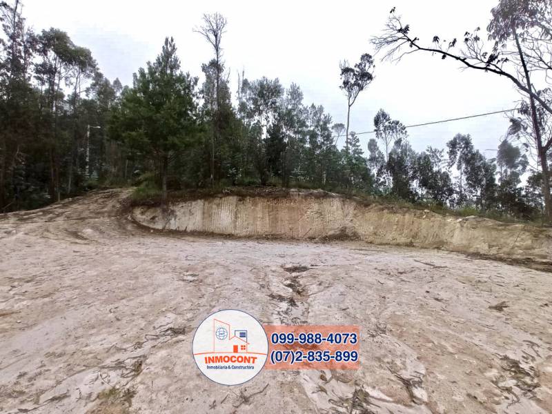 T157 Últimos lotes disponibles